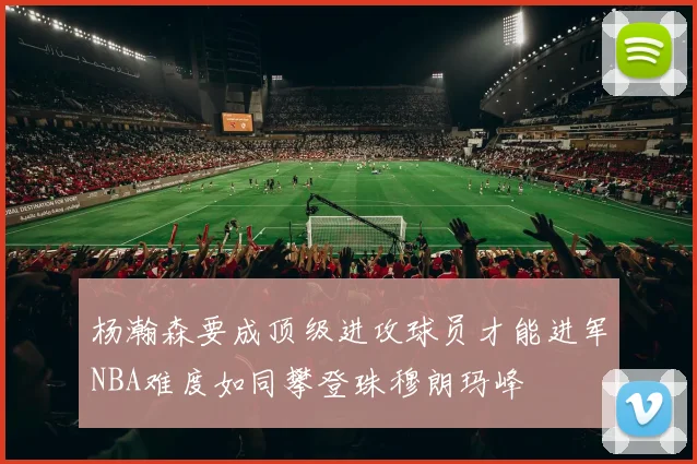 杨瀚森要成顶级进攻球员才能进军NBA难度如同攀登珠穆朗玛峰