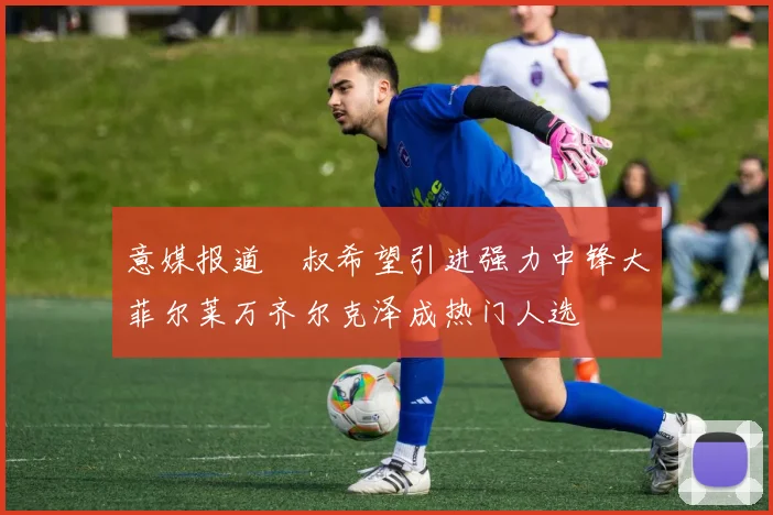 意媒报道囧叔希望引进强力中锋大菲尔莱万齐尔克泽成热门人选