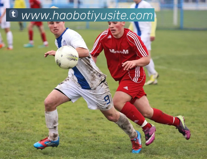 好博体育APP 高清赛事图